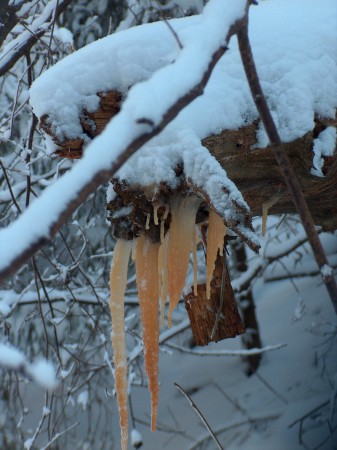 Špecialita Braniska - žltý ľad, obohatený o minerály :)